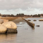 Vinter solskinstur til Amager strand