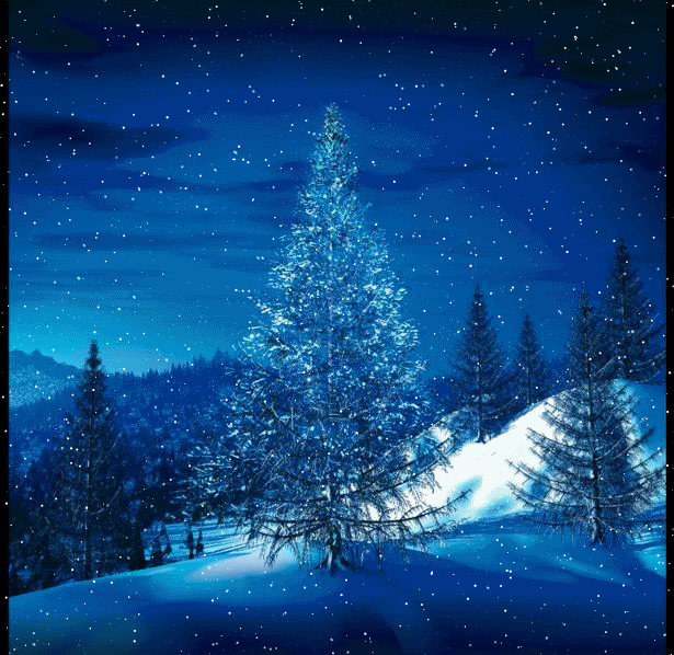 blue-christmas-tree-snow