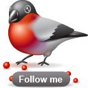 bullfinch-follow-icon