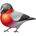 bullfinch-icon