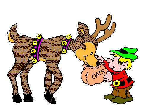 reindeer08